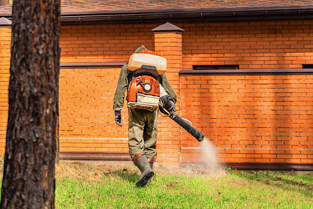 Trusted Ant Control service in South Greeley, WY - Nex Pest Control
